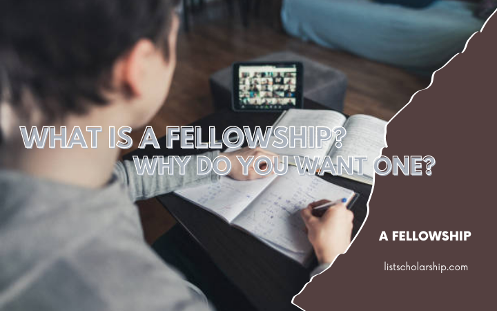 What Is A Fellowship? Why Do You Want One?